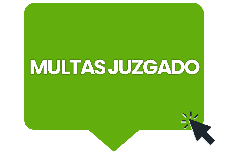 Multas Juzgado-2