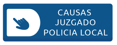CAUSAS JUZGADO-08