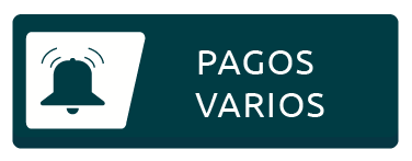PAGOS varios (3)
